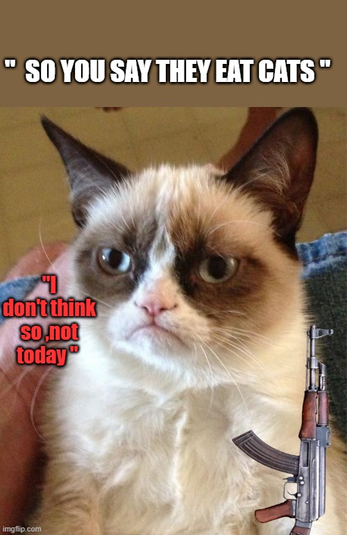 2nd amendment Cat | "  SO YOU SAY THEY EAT CATS "; "I don't think so ,not today " | image tagged in memes,grumpy cat | made w/ Imgflip meme maker