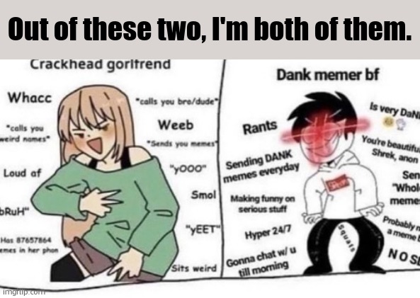 which | Out of these two, I'm both of them. | image tagged in which | made w/ Imgflip meme maker