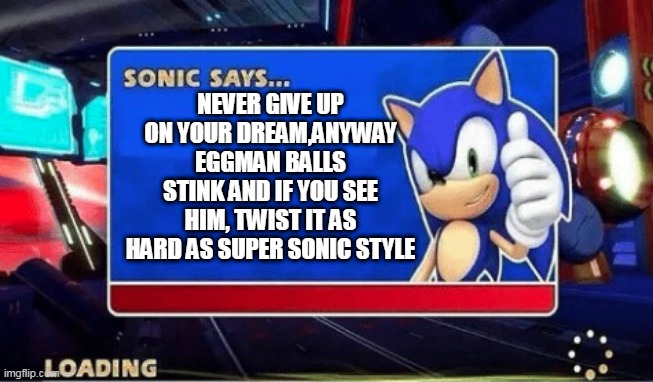 sonic respond | NEVER GIVE UP ON YOUR DREAM,ANYWAY EGGMAN BALLS STINK AND IF YOU SEE HIM, TWIST IT AS HARD AS SUPER SONIC STYLE | image tagged in sonic says | made w/ Imgflip meme maker