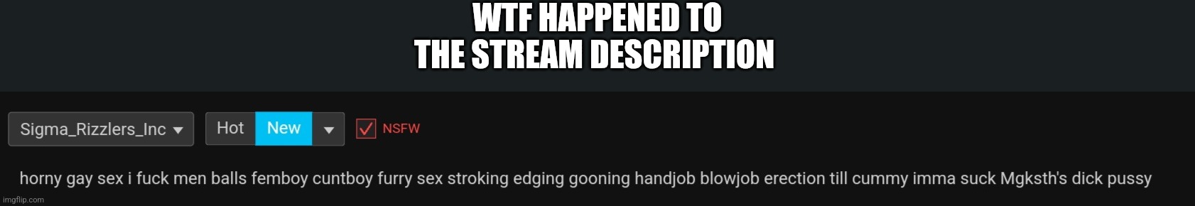 WTF HAPPENED TO THE STREAM DESCRIPTION | made w/ Imgflip meme maker