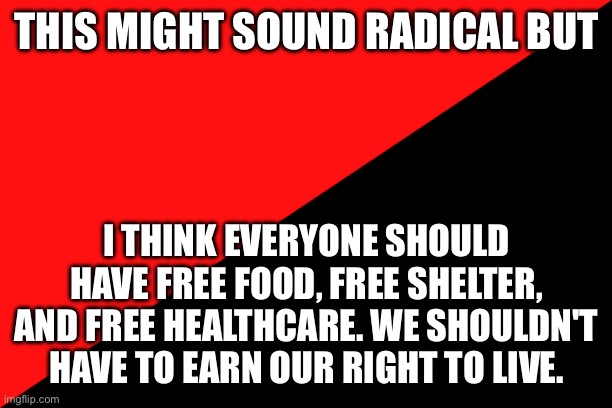 Ancom flag | THIS MIGHT SOUND RADICAL BUT; I THINK EVERYONE SHOULD HAVE FREE FOOD, FREE SHELTER, AND FREE HEALTHCARE. WE SHOULDN'T HAVE TO EARN OUR RIGHT TO LIVE. | image tagged in ancom flag | made w/ Imgflip meme maker