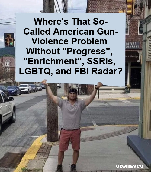 Slogans Are Allies, Details Are Bigots | Where's That So-

Called American Gun-

Violence Problem 

Without "Progress", 

"Enrichment", SSRIs, 

LGBTQ, and FBI Radar? OzwinEVCG | image tagged in man holding sign,guns,violence,facts vs feelings,life with libs,msm lies | made w/ Imgflip meme maker