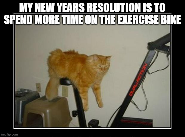 My cats New Years resolution is to spend more time on the exercise bike | MY NEW YEARS RESOLUTION IS TO SPEND MORE TIME ON THE EXERCISE BIKE | image tagged in funny,cat,kitten,exercise,bike,workout | made w/ Imgflip meme maker