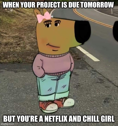 Netflix and chill | WHEN YOUR PROJECT IS DUE TOMORROW; BUT YOU’RE A NETFLIX AND CHILL GIRL | image tagged in chill girl,netflix,project | made w/ Imgflip meme maker