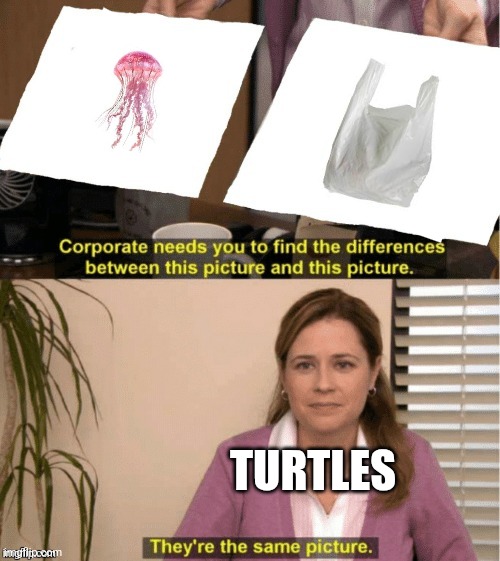 Turtles be like | TURTLES | image tagged in they re the same thing | made w/ Imgflip meme maker