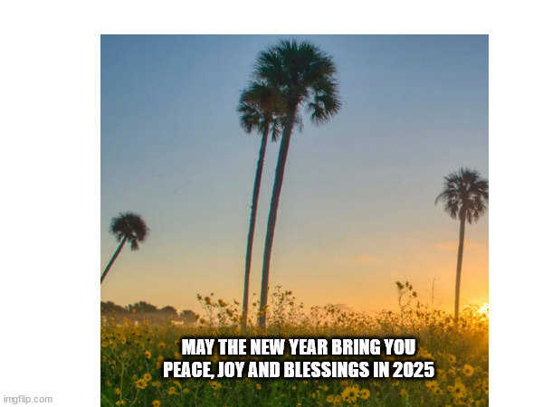 Happy New Year 2025 | MAY THE NEW YEAR BRING YOU PEACE, JOY AND BLESSINGS IN 2025 | image tagged in happy new year | made w/ Imgflip meme maker