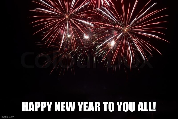 Happy New Year | HAPPY NEW YEAR TO YOU ALL! | image tagged in happy new year | made w/ Imgflip meme maker