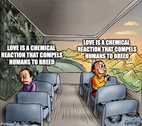 Love is a chemical  reaction that compels humans to breed | LOVE IS A CHEMICAL 
REACTION THAT COMPELS
HUMANS TO BREED; LOVE IS A CHEMICAL 
REACTION THAT COMPELS
HUMANS TO BREED | image tagged in two guys on a bus | made w/ Imgflip meme maker