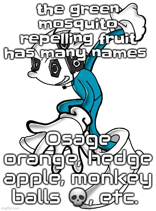 Planet dob sonic | the green mosquito repelling fruit has many names; Osage orange, hedge apple, monkey balls 💀, etc. | image tagged in planet dob sonic | made w/ Imgflip meme maker