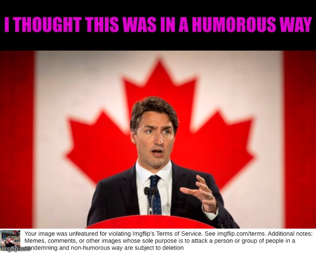 The Morality Police have struck again | I THOUGHT THIS WAS IN A HUMOROUS WAY | image tagged in justin trudeau | made w/ Imgflip meme maker