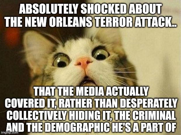 Scared Cat | ABSOLUTELY SHOCKED ABOUT THE NEW ORLEANS TERROR ATTACK.. THAT THE MEDIA ACTUALLY COVERED IT, RATHER THAN DESPERATELY COLLECTIVELY HIDING IT, THE CRIMINAL AND THE DEMOGRAPHIC HE'S A PART OF | image tagged in memes,scared cat | made w/ Imgflip meme maker