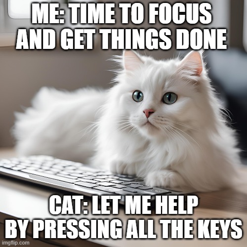 WorkBlocker | ME: TIME TO FOCUS AND GET THINGS DONE; CAT: LET ME HELP BY PRESSING ALL THE KEYS | image tagged in cute cat | made w/ Imgflip meme maker