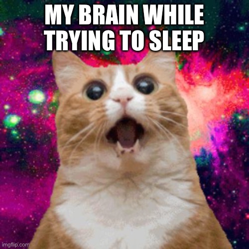 Is that a unicorn dancing with a dragon? | MY BRAIN WHILE TRYING TO SLEEP | image tagged in kitties be trippin | made w/ Imgflip meme maker