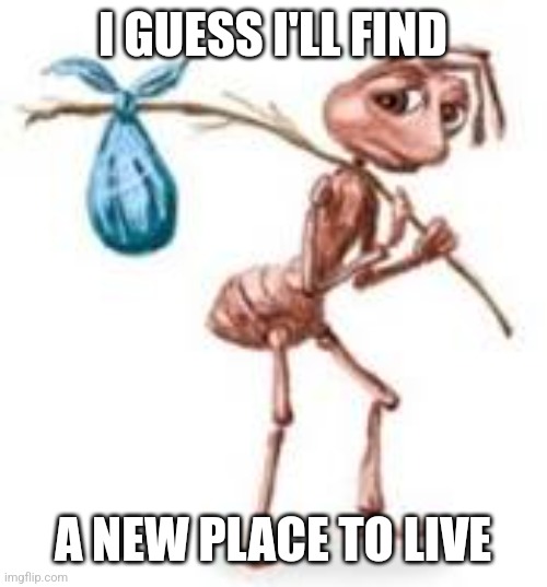 Sad ant with bindle | I GUESS I'LL FIND A NEW PLACE TO LIVE | image tagged in sad ant with bindle | made w/ Imgflip meme maker