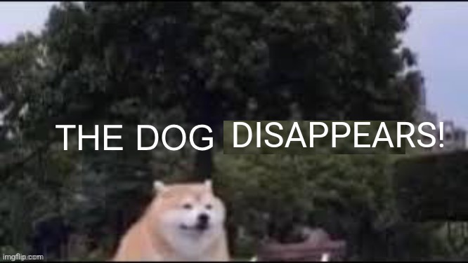 The dog appears! | DISAPPEARS! | image tagged in the dog appears | made w/ Imgflip meme maker