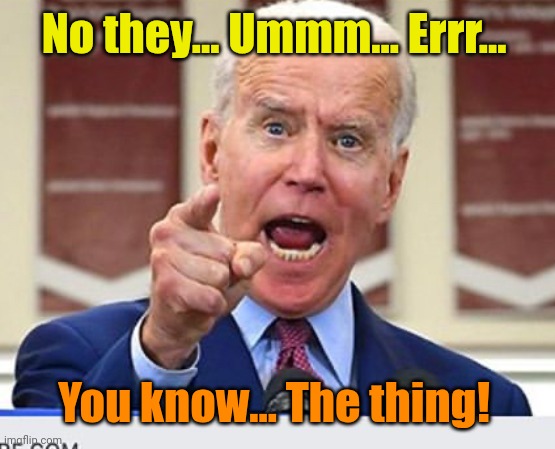 Joe Biden no malarkey | No they... Ummm... Errr... You know... The thing! | image tagged in joe biden no malarkey | made w/ Imgflip meme maker