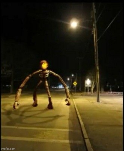 Dawg where TF am I? | made w/ Imgflip meme maker