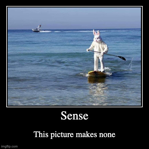 Sense | This picture makes none | image tagged in demotivationals | made w/ Imgflip demotivational maker