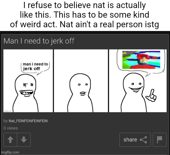 I saw what you deleted | I refuse to believe nat is actually like this. This has to be some kind of weird act. Nat ain't a real person istg | made w/ Imgflip meme maker