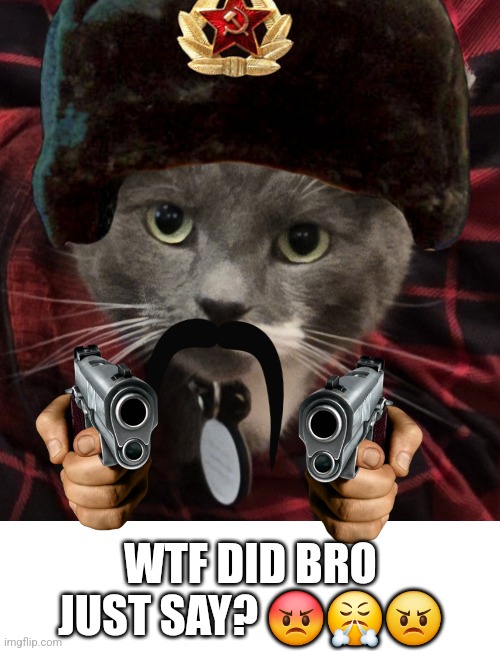 Angered cat with ushanka pointing pistols | WTF DID BRO JUST SAY? 😡😤😠 | image tagged in cats,funny animals,funny animal meme,funny,memes,ussr | made w/ Imgflip meme maker