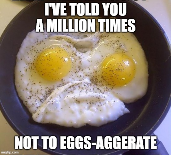 I'VE TOLD YOU A MILLION TIMES NOT TO EGGS-AGGERATE | made w/ Imgflip meme maker