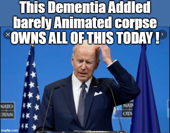 Can the country survive 19 more days ? | This Dementia Addled barely Animated corpse
OWNS ALL OF THIS TODAY ! | image tagged in biden unfit meme | made w/ Imgflip meme maker