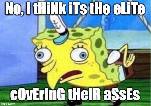 No, I tHiNk iTs tHe eLiTe cOvErInG tHeiR aSsEs | image tagged in memes,mocking spongebob | made w/ Imgflip meme maker