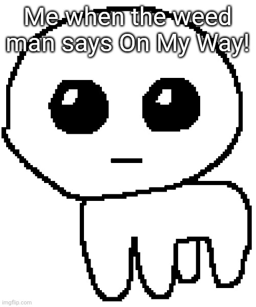 Yippee | Me when the weed man says On My Way! | image tagged in yippee | made w/ Imgflip meme maker