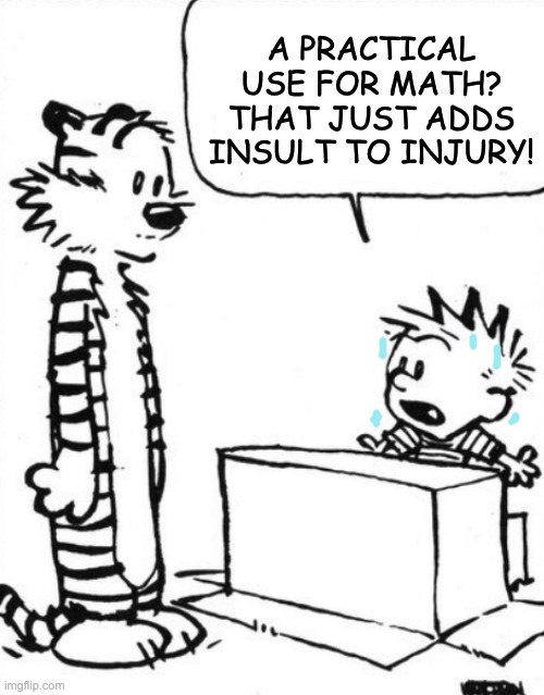 Calvin & Hobbes | A PRACTICAL USE FOR MATH? THAT JUST ADDS INSULT TO INJURY! | image tagged in calvin hobbes | made w/ Imgflip meme maker