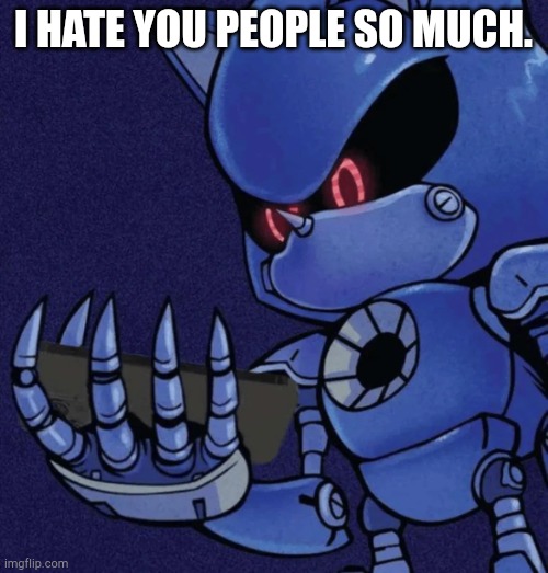 Metal sonic reaction | I HATE YOU PEOPLE SO MUCH. | image tagged in metal sonic reaction | made w/ Imgflip meme maker