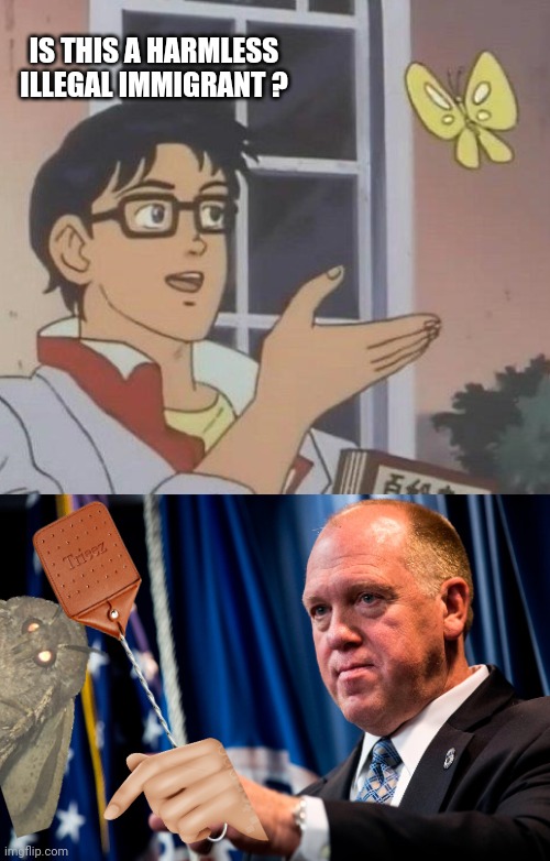 IS THIS A HARMLESS ILLEGAL IMMIGRANT ? | image tagged in memes,is this a pigeon,tom homan | made w/ Imgflip meme maker