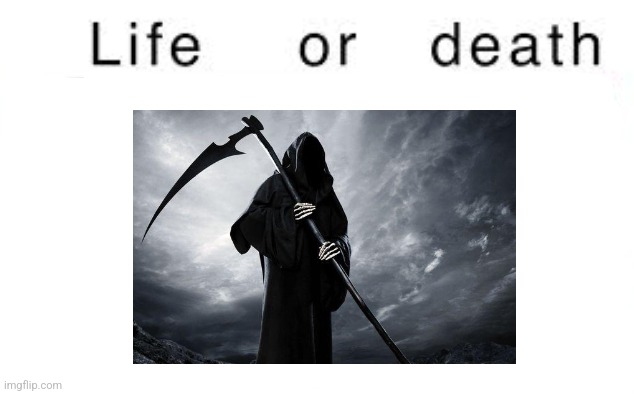 Life or death | image tagged in life or death | made w/ Imgflip meme maker