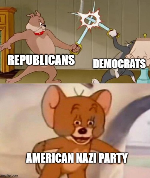 Tom and Jerry swordfight | REPUBLICANS; DEMOCRATS; AMERICAN NAZI PARTY | image tagged in tom and jerry swordfight | made w/ Imgflip meme maker