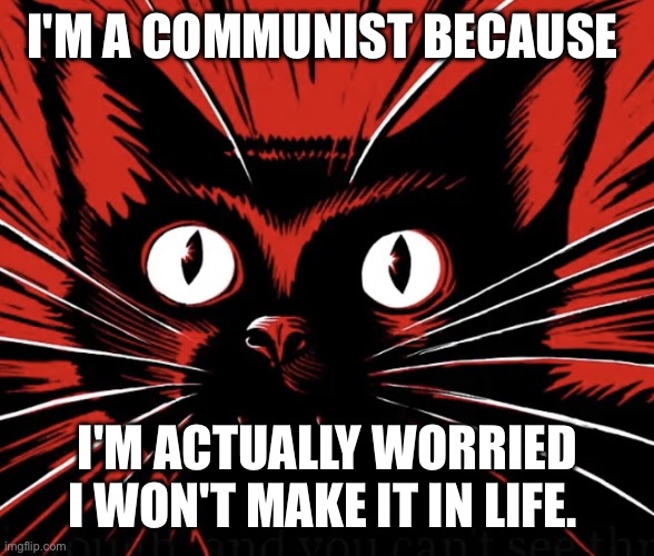 Sabo tabby cat | I'M A COMMUNIST BECAUSE; I'M ACTUALLY WORRIED I WON'T MAKE IT IN LIFE. | image tagged in sabo tabby cat | made w/ Imgflip meme maker