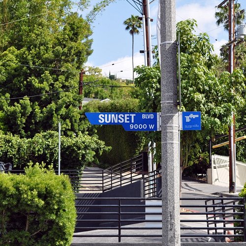 ... the foundation of perseverance. Blank Meme Template