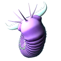 Bobbit worm Meme Template