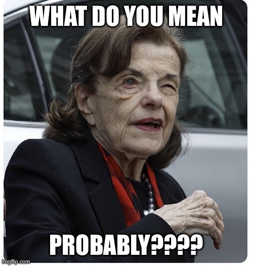 Senator Diane Feinstein | WHAT DO YOU MEAN PROBABLY???? | image tagged in senator diane feinstein | made w/ Imgflip meme maker