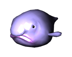 Blob fish Blank Meme Template