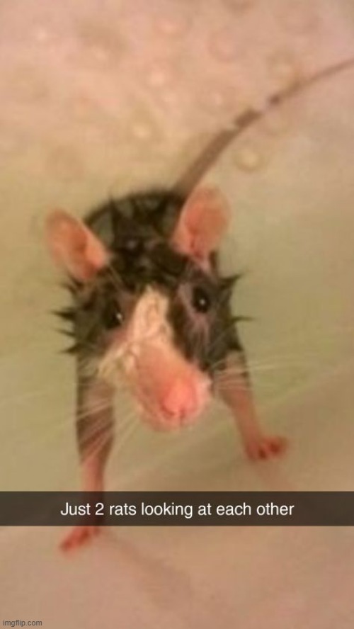 aww <33 | made w/ Imgflip meme maker