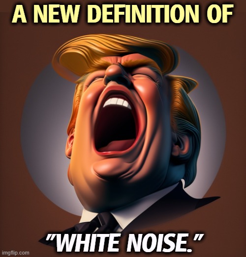 A NEW DEFINITION OF; "WHITE NOISE." | image tagged in trump,white,noise,white nationalism,white privilege,white trash | made w/ Imgflip meme maker