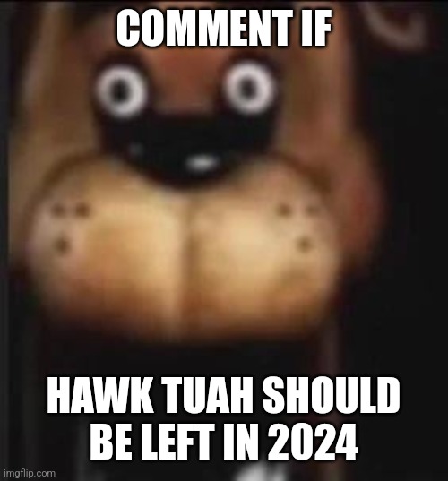 COMMENT IF; HAWK TUAH SHOULD BE LEFT IN 2024 | made w/ Imgflip meme maker