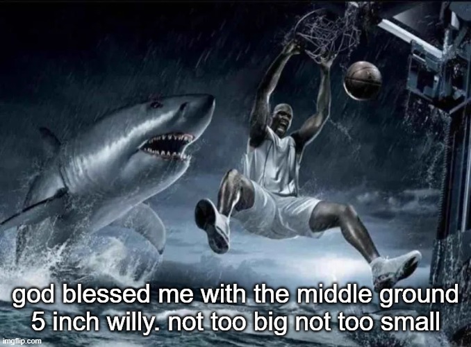 legendary slam dunk | god blessed me with the middle ground 5 inch willy. not too big not too small | image tagged in legendary slam dunk | made w/ Imgflip meme maker