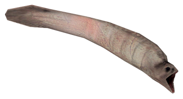 Leech Blank Meme Template