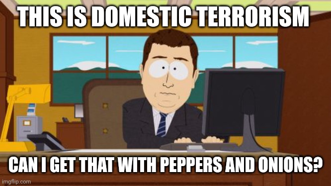 You Hate America | THIS IS DOMESTIC TERRORISM; CAN I GET THAT WITH PEPPERS AND ONIONS? | image tagged in memes,aaaaand its gone | made w/ Imgflip meme maker