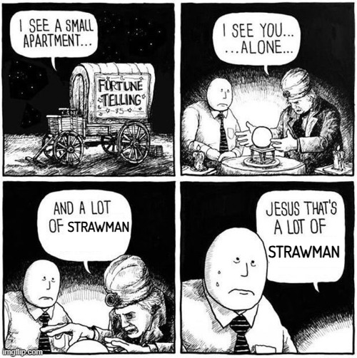 Strawman Everywhere | STRAWMAN; STRAWMAN | image tagged in fortune teller | made w/ Imgflip meme maker