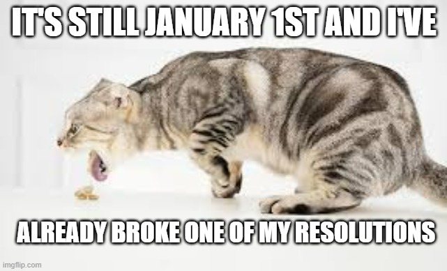 memes by Brad - On January 1st my cat already has broken his resolution | IT'S STILL JANUARY 1ST AND I'VE; ALREADY BROKE ONE OF MY RESOLUTIONS | image tagged in cats,kittens,new years resolutions,happy new year,humor | made w/ Imgflip meme maker