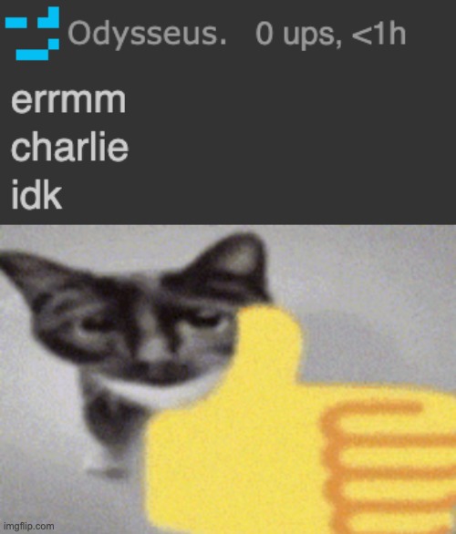 name's officially charlie | image tagged in thumbs up cat | made w/ Imgflip meme maker