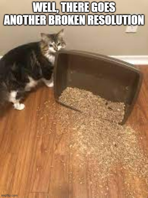 memes By Brad - My cat has already broken a resolution - humor - | WELL, THERE GOES ANOTHER BROKEN RESOLUTION | image tagged in cats,kittens,new years resolutions,happy new year,humor | made w/ Imgflip meme maker