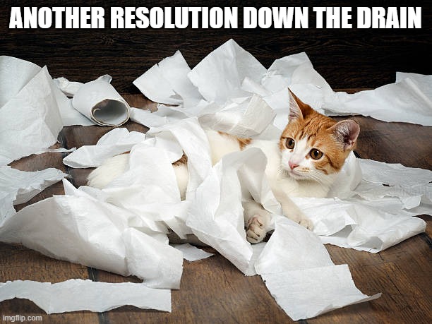 memes by Brad - Another resolution down the drain for the cat | ANOTHER RESOLUTION DOWN THE DRAIN | image tagged in cats,kitten,funny,new years resolutions,happy new year,humor | made w/ Imgflip meme maker