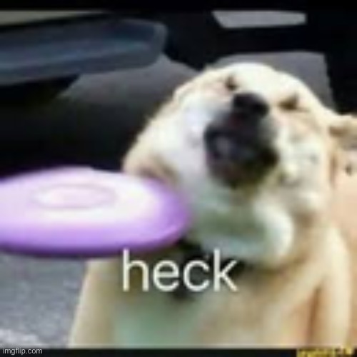 Heck | image tagged in heck,msmg | made w/ Imgflip meme maker